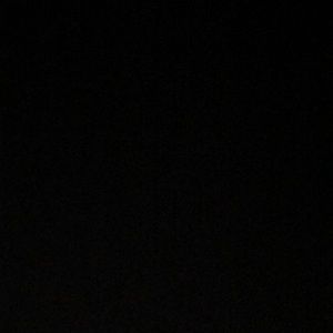 Meet your Posher, Dinasis